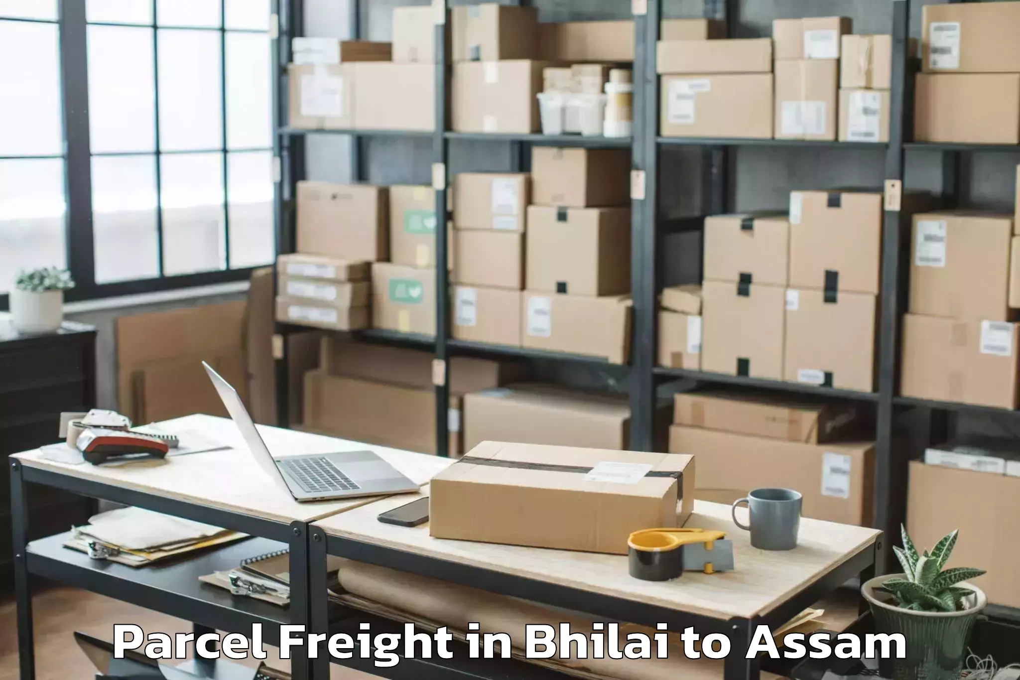 Book Your Bhilai to Lumding Parcel Freight Today